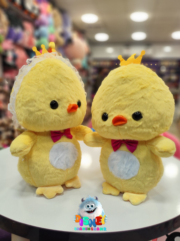 اردک کلاه توری