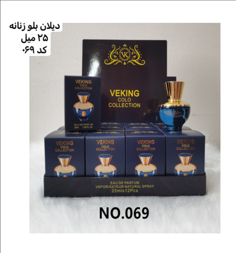 دیلان بلو زنانه